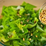 Pinjoli: koristi i štete za organizam